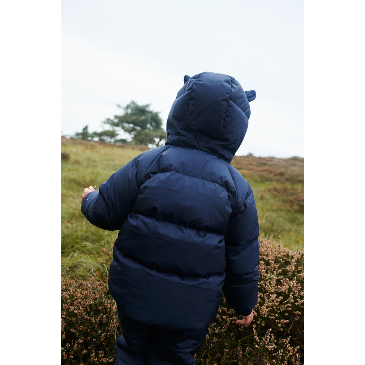 Liewood Polle Daunenjacke - Classic navy - Jacke